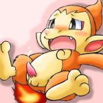 chimchar pokemon tagme