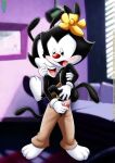 animaniacs bbmbbf dot_warner fur34 fur34* furry palcomix yakko_warner