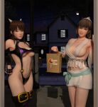 2_girls 3d alluring bag blender blue_eyes brown_eyes brown_hair cosplay dead_or_alive dead_or_alive_2 dead_or_alive_3 dead_or_alive_4 dead_or_alive_5 dead_or_alive_6 dead_or_alive_xtreme_beach_volleyball demon_girl demon_horns fangs halloween halloween_costume hitomi hitomi_(doa) horns lei_fang looking_at_viewer o-ring_bikini sling_bikini snow_kitsune tecmo transparent_clothing trick_or_treat xnalara