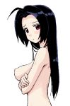 1girl azusa_miura black_hair blush breasts crossed_arms idolmaster large_breasts long_hair looking_at_viewer miura_azusa nude oekaki red_eyes simple_background solo takayaki white_background