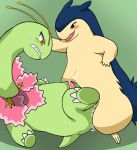 meganium pokemon tagme typhlosion