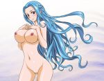 1girl alluring blue_hair breasts female nefertari_vivi nel-zel_formula nipples nude one_piece pussy