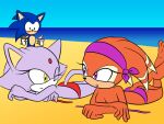 blaze the cat from sega