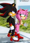 amy_rose bbmbbf bra mobius_unleashed palcomix panties sega shadow_the_hedgehog sonic_*(series) sonic_the_hedgehog_(series)