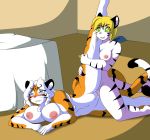  anthro areolae bengala big_breasts blush breasts cainesart crossgender feline female/female female_only huge_breasts inside las_lindas lesbian_sex mammal nipples nude scissoring sex shin_(las_lindas) tiger tribadism white_fur white_hair white_tiger yellow_hair yuri 