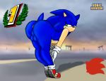  anthro ass bent_over big_ass furry girly gloves half-closed_eyes hedgehog huge_ass looking_back mammal nude presenting seductive sega shoes sketch smile solo sonic_(series) sonic_the_hedgehog sonicharinezumi super_smash_bros. testicles wide_hips 