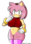 amy_rose el_shaka matospectoru nude sega sonic_*(series) sonic_the_hedgehog_(series)