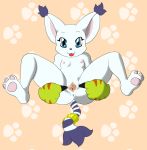  anus blue_eyes cat digimon feline full_body gatomon inviting small_breasts spread_legs spread_pussy tongue tongue_out white_fur 