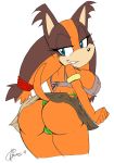 2014 akatsukishiranui-fox anthro ass badger big_ass big_breasts breasts clothed clothing female furry huge_breasts mammal mustelid panties sega solo sonic_(series) sticks_the_jungle_badger underwear