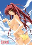 1girl ass back bikini blush breasts brown_eyes butt_crack cat_pose cat_tail goma_satoshi kousaka_tamaki long_hair looking_back paw_pose red_hair side-tie_bikini sideboob solo swimsuit tail tamaki_kousaka to_heart_2 twintails