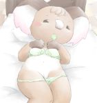  animal_crossing bed black_eyes blush breasts condom doubutsu_no_mori koala melba nintendo pussy underwear vagina 