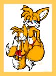 character request from sega by sonicdash
