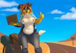 2015 anthro bag bbw belly blue_eyes breasts canine chubby clothing desert dog female furry mammal melissa_(locosaltinc) navel nipples pants road shirts sign slightly_chubby solo wolfy-nail