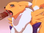 animal_genitalia animal_pussy anthro bandai_namco big_pussy canine_genitalia canine_pussy digimon digimon_(species) fellatio female female_renamon fur gaping_anus gaping_pussy genitals gif multicolored_body multicolored_fur nezumi_(artist) plump_labia pussy renamon simple_background solo spreading two_tone_body two_tone_fur vaginal_penetration white_body white_fur yellow_body yellow_fur