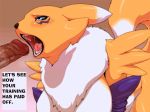 animal_genitalia animal_pussy anthro bandai_namco big_pussy canine_genitalia canine_pussy digimon digimon_(species) fellatio female female_renamon fur gaping_anus gaping_pussy genitals gif multicolored_body multicolored_fur nezumi_(artist) plump_labia pussy renamon simple_background solo spreading two_tone_body two_tone_fur vaginal_penetration white_body white_fur yellow_body yellow_fur