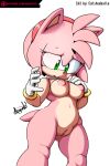 amy_rose fanart mobian_(species) tagme