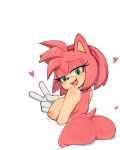 amy_rose fanart sticks_the_jungle_badger tagme