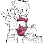  amy_rose fanart mobian_(species) tagme 