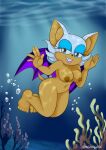  1girl anthro barefoot bat big_breasts breasts female freediving furry navel nipples nude ocean pussy rouge_the_bat sea sega skinny_dipping solo sonic_(series) sonic_the_hedgehog_(series) swimming the1stmoyatia underwater water 