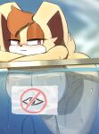 1girl anthro ass breasts convenient_censoring female furry huge_breasts lawgx mature_female milf nude partially_submerged pool rabbit sega skinny_dipping solo sonic_(series) sonic_the_hedgehog_(series) tagme underwater underwater_view vanilla_the_rabbit water