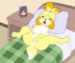 1girl animal_crossing animal_crossing_new_leaf barefoot breasts canine cum cumshot cun daemont92 daydreaming denise_hyena feet female fingering grope human isabelle_(animal_crossing) lust male masturbation nintendo nipples nude on_bed orgasm pussy shortstack solo villager_(animal_crossing)