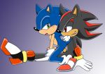  sega shadow_the_hedgehog sonic sonic_team sonic_the_hedgehog 