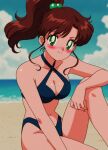  1girl accurate_art_style adult_swim alluring beach big_breasts bikini bishoujo_senshi_sailor_moon bishoujo_senshi_sailor_moon_r bishoujo_senshi_sailor_moon_r_the_movie bishoujo_senshi_sailor_moon_s bishoujo_senshi_sailor_moon_s_the_movie bishoujo_senshi_sailor_moon_supers bishoujo_senshi_sailor_moon_supers_the_movie brown_hair cleavage green_eyes makoto_kino nightcore_(artist) ocean pin_up toei_animation toonami viz_media 