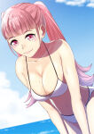 hilda valentine goneril from fire emblem by sukkirito (rangusan)