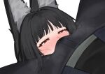  1boy 1girl 2026 accidental_facesitting animal_ear_fluff animal_ears bitch black_hair black_pants blunt_bangs blush bulge face_in_crotch facesitting female_submissive flasso fox_ears fox_girl furry furry_female half-closed_eyes heart-shaped_pupils horny horny_female hoshimi_miyabi hoyoverse long_hair male_facesitting male_facesitting_female male_on_female male_on_top maledom miyabi nasty_bitch nose_blush pants red_eyes scent scent_play scentplay simple_background sitting sitting_on_person slut smelling smelling_penis sniff sniffing sniffing_penis straight symbol-shaped_pupils upper_body wet wet_pants white_background whore wise_(zenless_zone_zero) zenless_zone_zero 