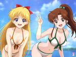 makoto kino from adult swim