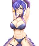ursula (fire emblem) from fire emblem