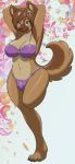 anthro big_breasts blue_eyes bra breasts brown_fur brown_hair bulge canine clothing dickgirl digitigrade dog flower fur furry german_shepherd hair hands_behind_head intersex lavitzskall mammal on_one_leg panties plant skidd smile solo standing tan_fur underwear wide_hips wolf1266