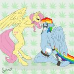 anthro bdsm bondage bound drugs equine female female/female fluttershy friendship_is_magic furry mammal marijuana marijuana_blunt my_little_pony pegasus poisindoodles rainbow_dash smoking wings