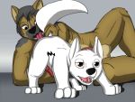  bolt_(character) bolt_(disney) disney dog furry 