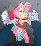  1boy 1girl amy_rose breasts clothing duo erection force forced green_eyes male male/female nipples panties penis rape rubbing sega sex sonic_the_hedgehog sonic_the_hedgehog_(series) sonic_the_werehog teasing the_other_half underwear vaginal 