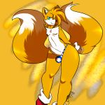 miles "tails" prower from sega by moneychan