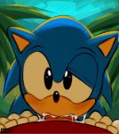 anthro crazedg cum cum_in_mouth cum_inside duo hedgehog male male/male mammal oral penis sega sonic_the_hedgehog