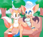 1girl 2015 age_difference anthro bat blush canine cloudz cub duo fox larger_female male mammal miles_"tails"_prower older_female rouge_the_bat sega size_difference smaller_male smile sweat wings young younger_male