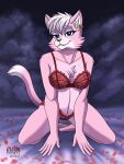  alluring anthro blue_eyes bra earring female_abs furry heresy heresy_(artist) katt_monroe lingerie nintendo panties pink_fur star_fox underwear voluptuous 