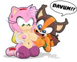 1boy 1girl amy_rose breasts dayum furry nipples r!p sega sonic_boom sonic_the_hedgehog_(series) sticks_the_jungle_badger