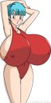 bulma* bulma_brief bulma_briefs dragon_ball_z el_shaka milf one-piece_swimsuit swimsuit toshiso_(artist)