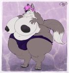 1girl abstract_background anthro anuv belly big_breasts border breasts bulge canine cappuccino chubby clothed clothing dickgirl fox full_body intersex mammal nipples overweight penis pink_eyes pink_hair pose thong underwear voluptuous white_border wide_hips