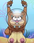  1girl 4:5 anthro arms_tied avioylin big_breasts bound breasts buckteeth cuffs_(clothing) cum_dumpster detailed_background female mammal nickelodeon nipples nude raised_arms rodent sandy_cheeks sciurid sea solo spongebob_squarepants teeth tree_squirrel underwater water 