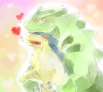  pokemon tagme typhlosion tyranitar 