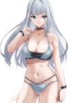  1girl 1girl alluring big_breasts bikini blue_eyes cleavage ethel_(xenoblade) grey_hair high_res long_hair looking_at_viewer navel nayuta-kanata simple_background swimsuit very_long_hair white_background xenoblade_(series) xenoblade_chronicles_3 