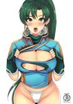  1girl areola big_breasts blush breasts female_only fire_emblem green_hair looking_at_viewer lyn lyndis_(fire_emblem) nintendo nipples revolverwingstudios ripped_clothes ripped_clothing torn_clothes 