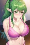 1girl alluring big_breasts bra cleavage dumi female_only fire_emblem fire_emblem_awakening green_eyes green_hair lingerie nintendo panties tiki_(adult)_(fire_emblem) tiki_(fire_emblem) underwear