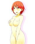 1girl breasts digimon digimon_savers fujieda_yoshino nipples red_hair