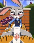  1boy 1girl disney foxychris grey_fur interspecies judy_hopps penis purple_eyes reverse_cowgirl_position sex spread_legs stripper_tiger_(zootopia) tagme vaginal zootopia 