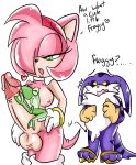  amy_rose big_the_cat froggy futanari perverted_bunny sega sonic sonic_team text 